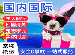 兴东空运国际宠物托运 【国
